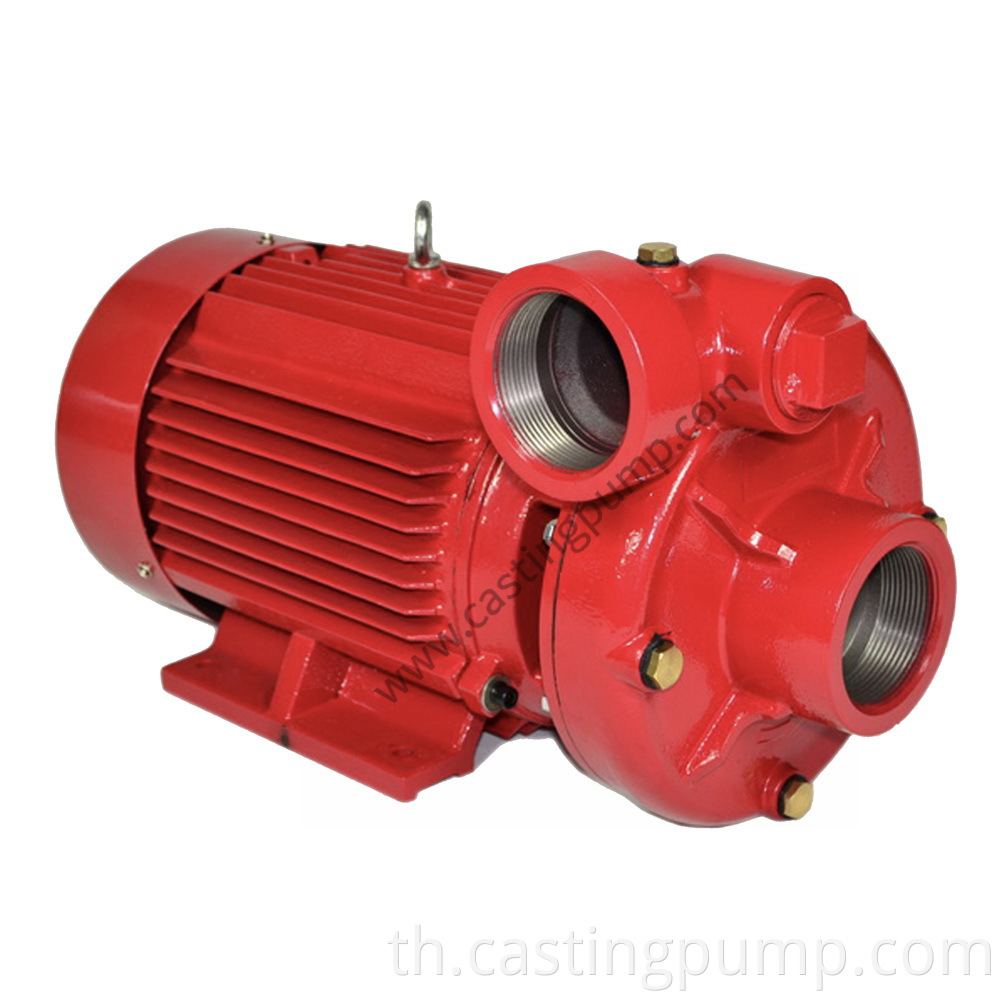 Motor pump (1)